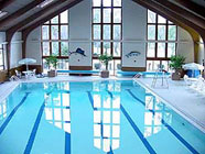 Pool Pool