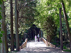 walking path bridge